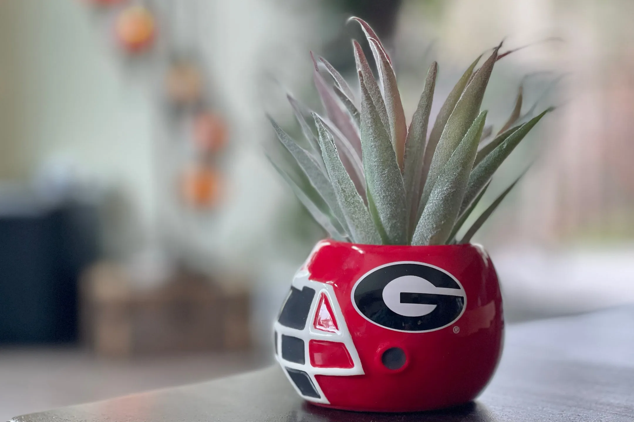 Georgia Bulldogs - Ceramic Helmet Caddy